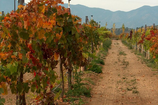 2 Hours Water to Wine Kayak Trip from Cottonwood - Why This Water to Wine Kayak Works So Well in Sedona