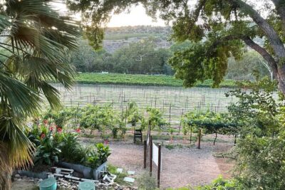 Arizona Winery All-Inclusive Tour with Lunch & Tastings - Stop 1: Page Springs (A Scenic Start and a Low-Stress First Pour)