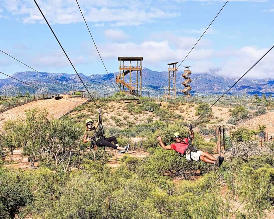 Camp Verde: Predator Zip Lines Guided Tour - Check in at Out of Africa’s parking lot
