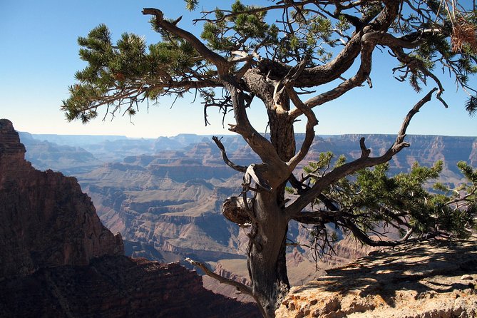 Comprehensive Grand Canyon Tour from Sedona - Sunset Crater Volcano: A 1-Mile Walk on Real Lava Ground