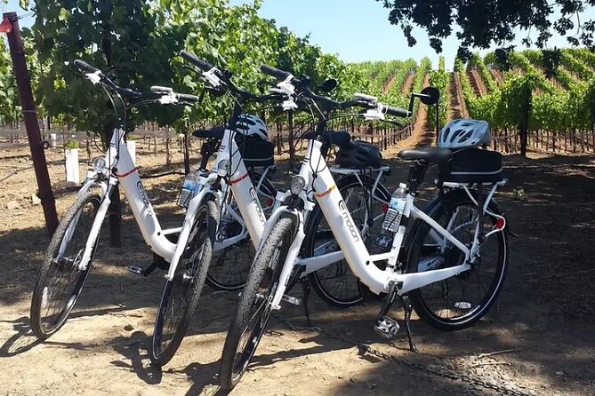 Experience E-Bike with Wine Tasting Activity - Key things to know before you go