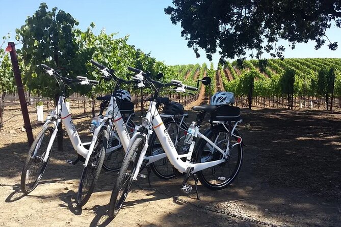 Experience E-Bike with Wine Tasting Activity - Time, effort, and what the 1.5 hours feels like