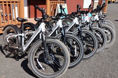 Experience E-Bike with Wine Tasting Activity - Riding through Alcantara Vineyard: views, viewpoints, and guide talk