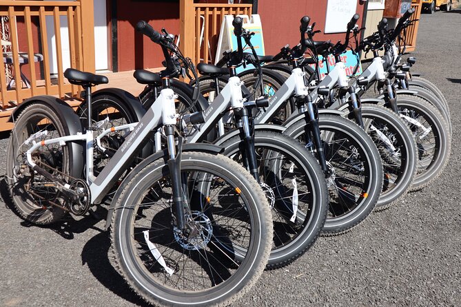 Experience E-Bike with Wine Tasting Activity - Riding through Alcantara Vineyard: views, viewpoints, and guide talk