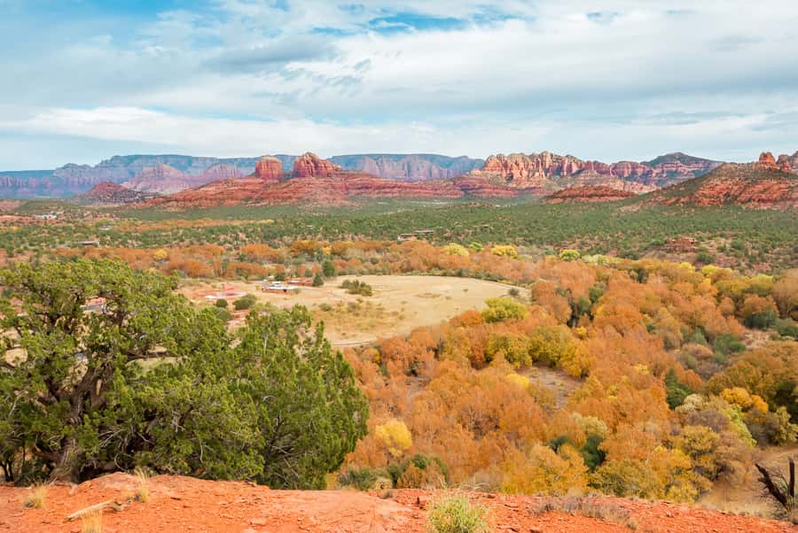 From Sedona: 1.5-Hour Oak Creek Canyon Jeep Pavement Tour - What the 1.5 hours look like, step by step