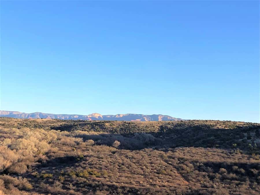 From Sedona: Archeology and Nature Hike - Desert “Notes” From Your Guide: Geology, Plants, and Way of Life