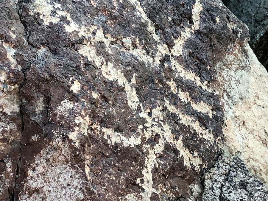 From Sedona: Archeology and Nature Hike - The Open-Air Jeep Ride: Access Without Off-Roading