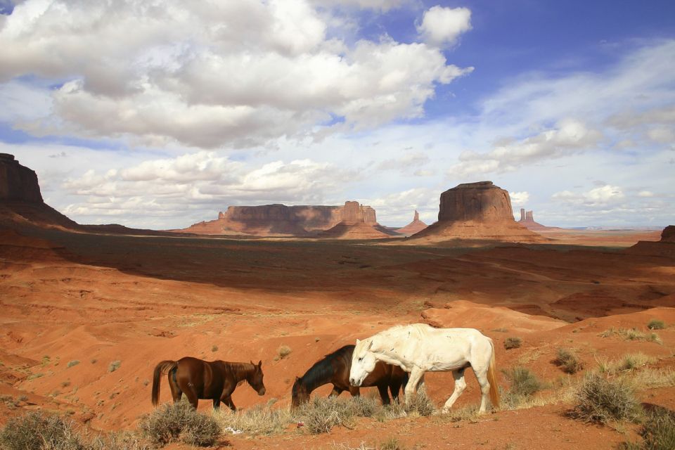 From Sedona or Flagstaff: Full-Day Monument Valley Tour - Lunch With Red Rocks Views: Included, With Menu Options