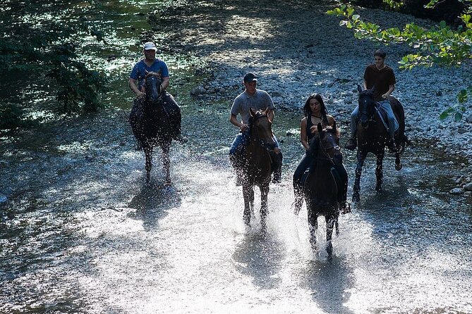 Guided Horseback Tour only 30 mins from Sedona. - Why This Ride Feels Convenient From Sedona