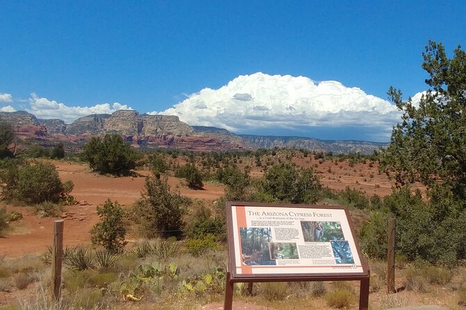 Private 4-Hour Sedona Spirit Journey and Vortex Tour - Bell Rock and Cathedral Rock time: major and minor vortex areas
