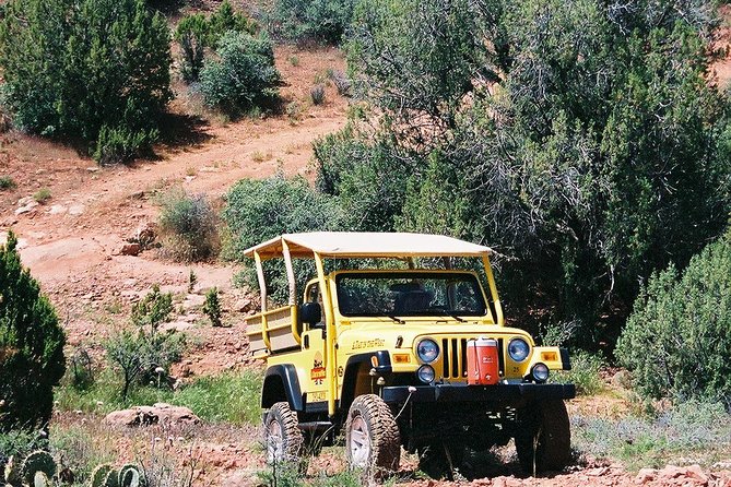 PRIVATE Sedona Jeep Tour 2-hour Lil' Rattler Off-Road - Natural history narration that makes the desert make sense