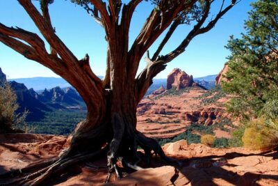 PRIVATE Sedona Jeep Tour 4X4 Climb - Colorado Plateau - Mogollon Rim Stop: 4x4-Only Terrain, Red Rock Formations, and Old Bear Wallow