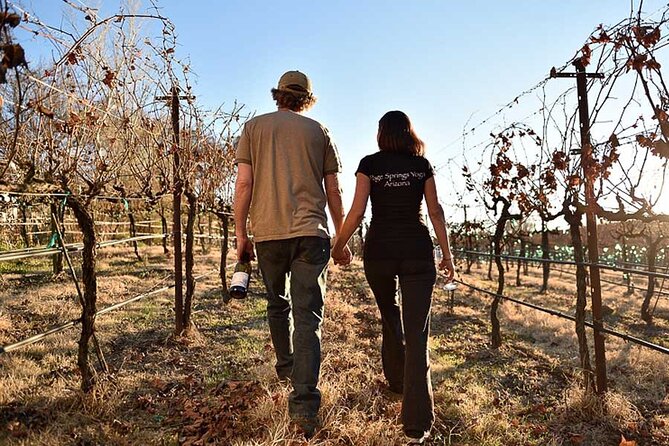 Private Wine Tour in Sedona, Arizona - Price and Value: Is $250 a Person a Good Deal?