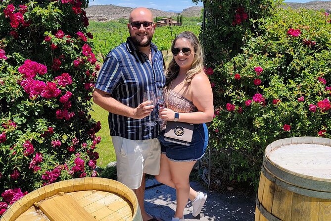 Private Wine Tour, Voted best in town, Tastings Included! - Key highlights that matter before you book