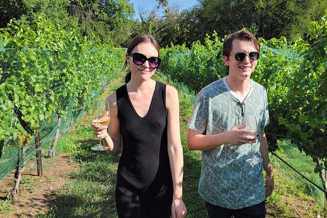Private Wine Tour, Voted best in town, Tastings Included! - Alternate winery option: DA Ranch for a porch-and-springs vibe (when it’s open)