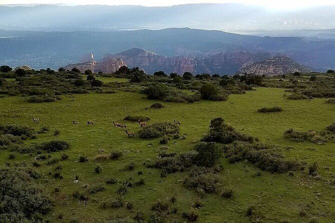 Secret Wilderness Sedona Helicopter Sunset Tour - Arriving at 1225 Airport Rd: your first “sanity check” moment