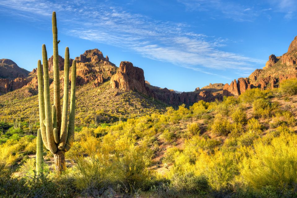 Sedona Day Trip: From Metro Phoenix / Scottsdale - Uptown Sedona: old-west charm plus real lunch choices