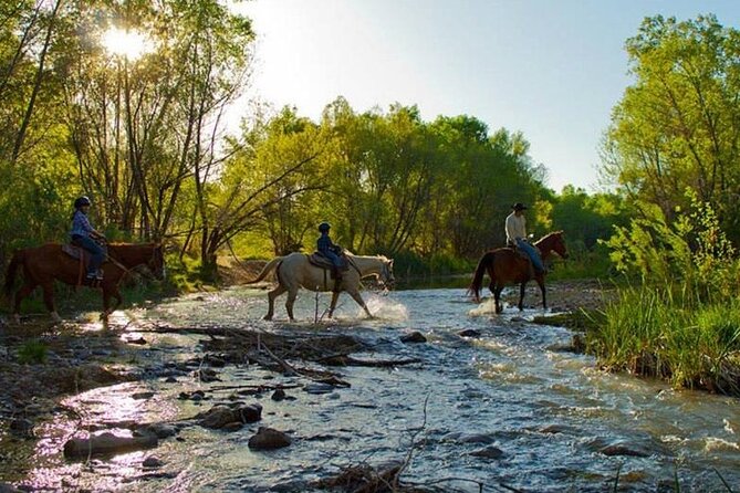 Sedona Horseback Rides At Dead Horse Ranch with River Crossing - Who should book this ride (and who might want a different plan)