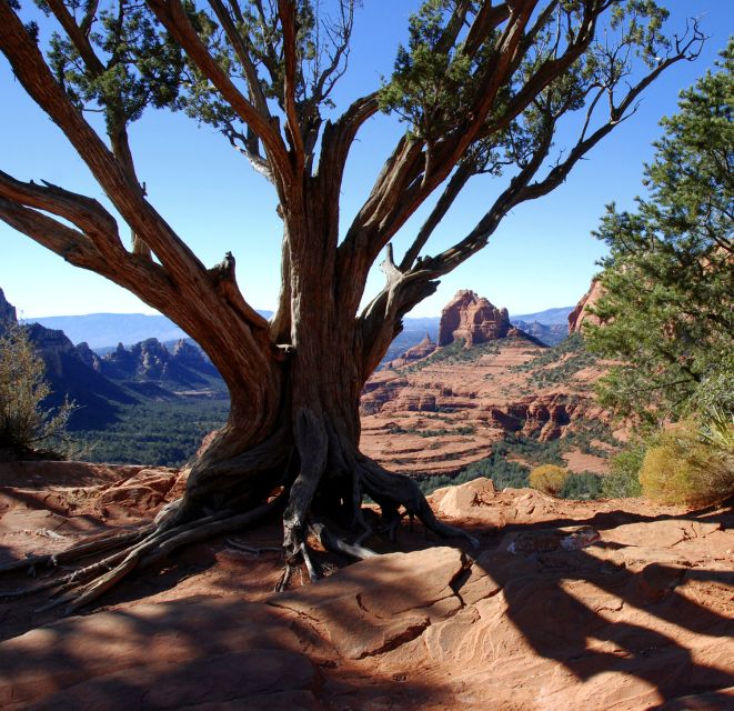 Sedona: PRIVATE 2-Hour Colorado Plateau Scenic Jeep Tour - The pioneer trail story: why it’s not just trivia