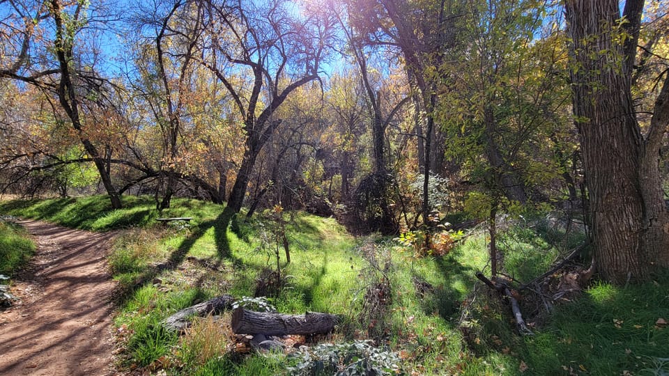 Sedona: The Scientific and Spiritual Vortex Tour - Who should book this Sedona scientific and spiritual vortex tour