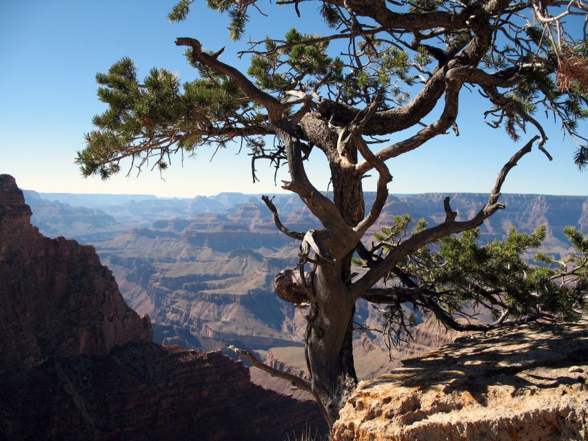 The Grand Canyon Classic Tour From Sedona, AZ - Key things I’d pay attention to