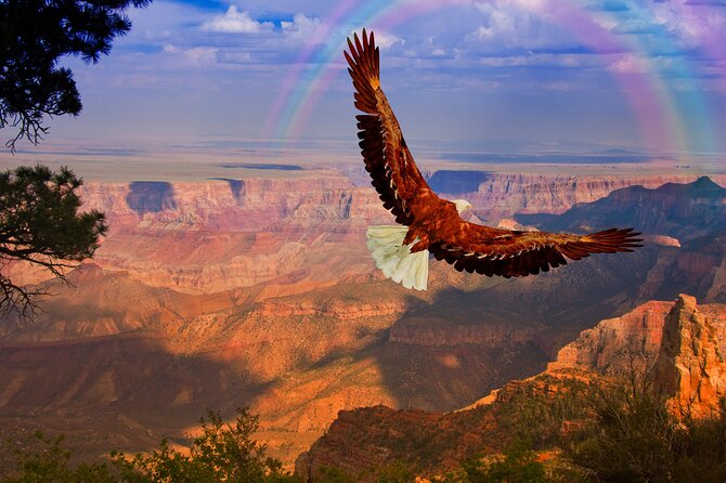 The Perfect Grand Canyon Tour with Local Expert Guides - Yavapai Point and the Geology Museum: where the rocks get names